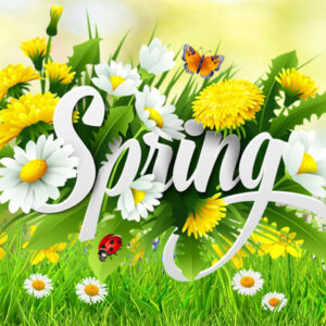 Spring has Sprung, Get the Job Done! Spring has Sprung, Get the Job Done!